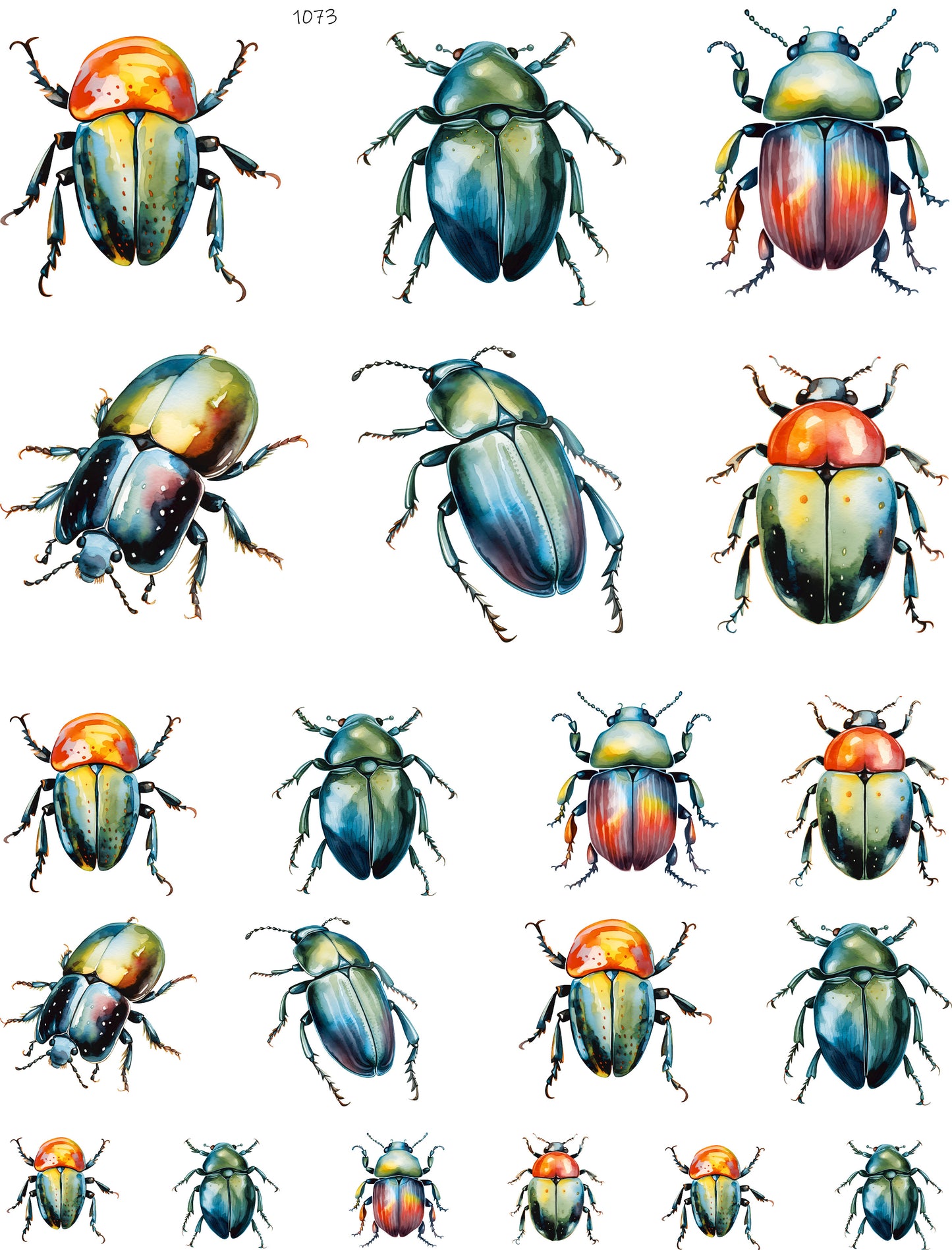 Beetles
