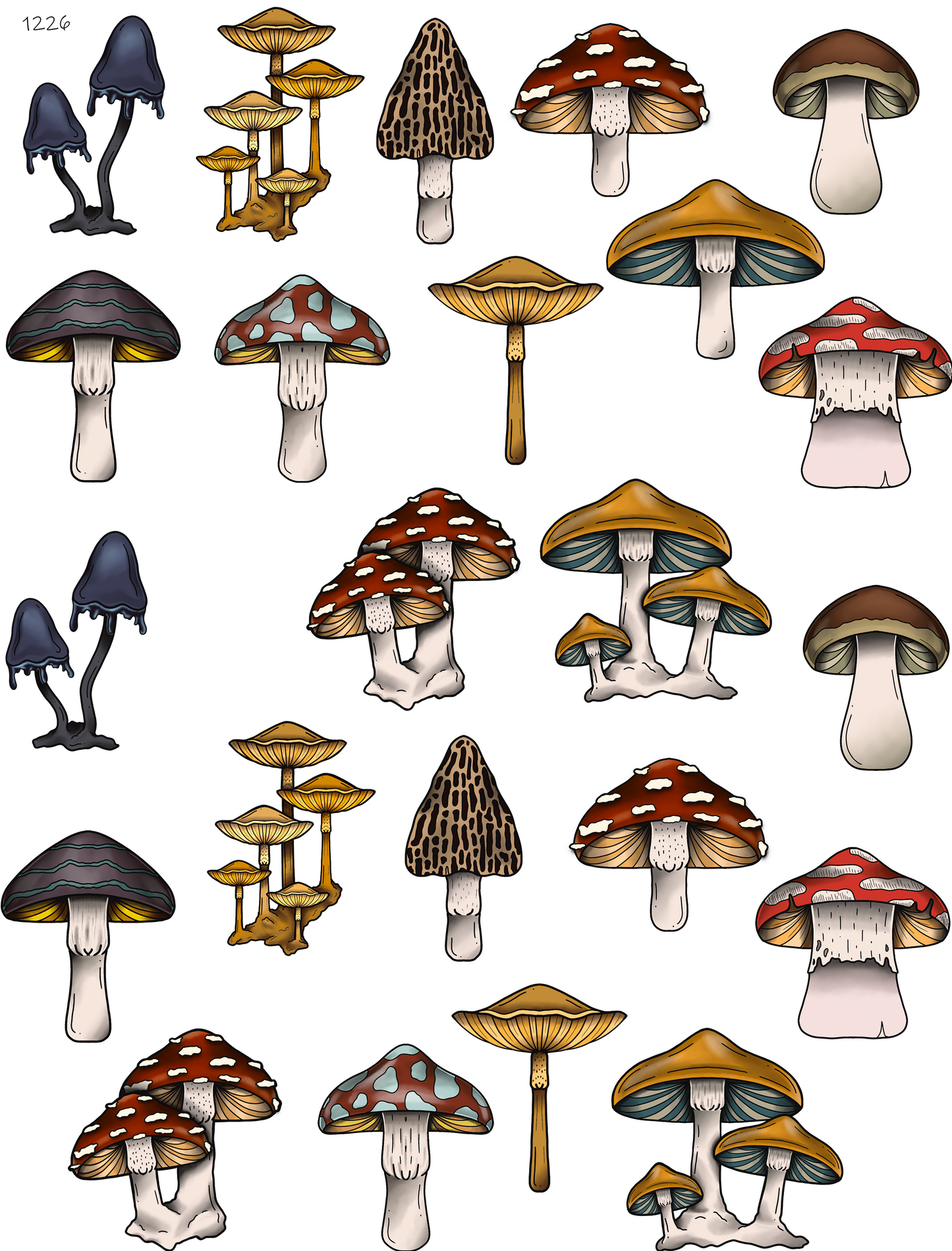 Mushroom Variety
