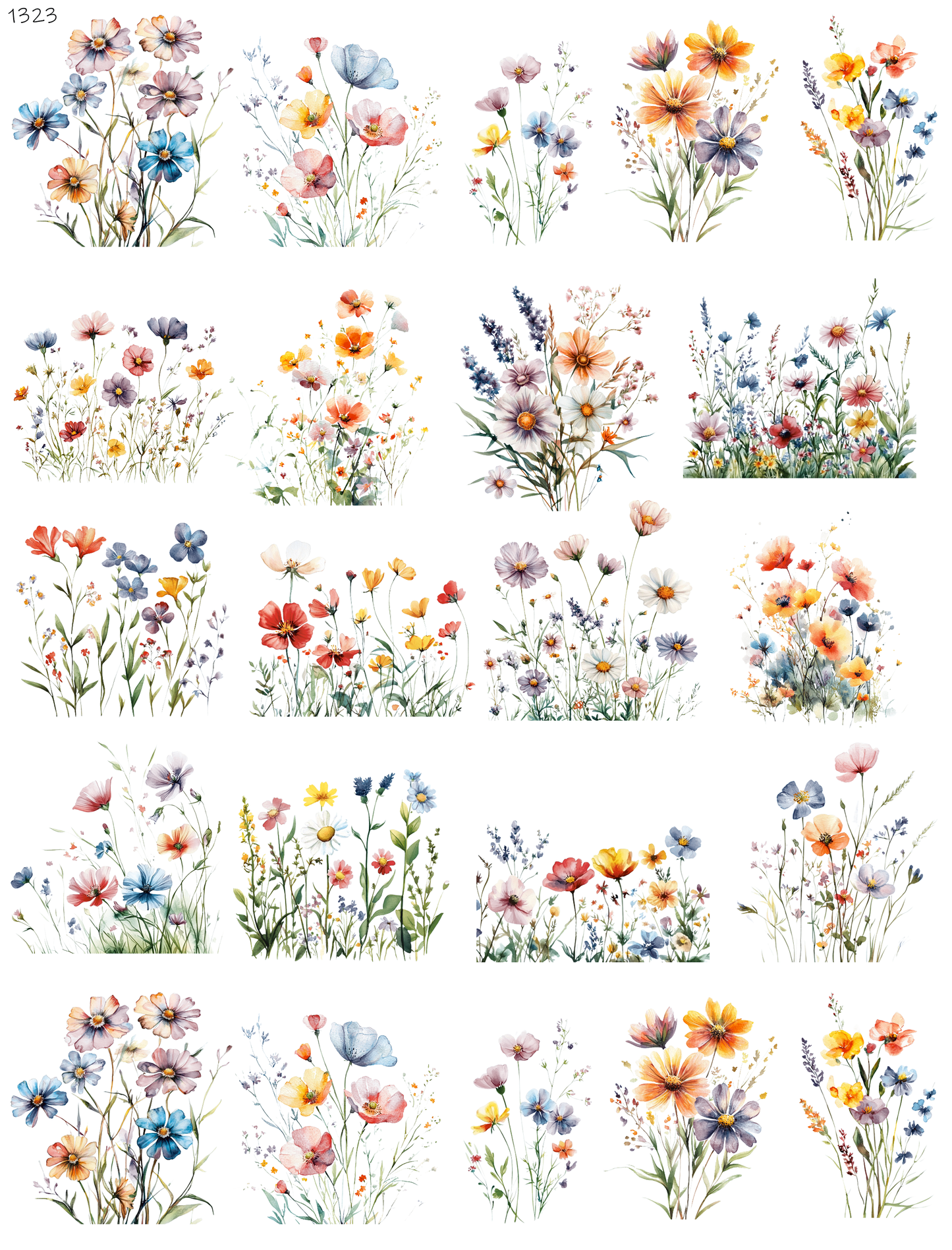 Field Full Of Flowers