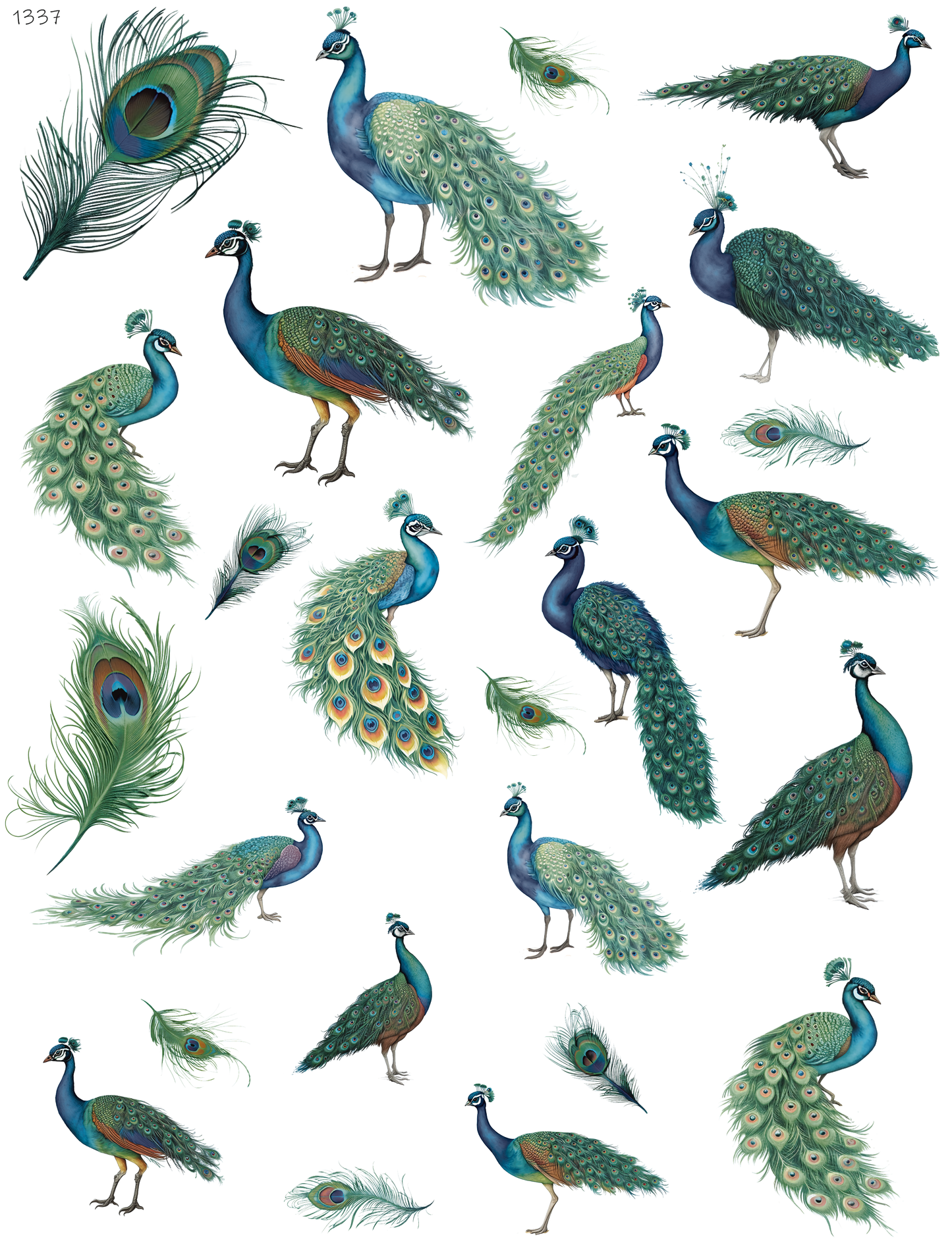 Peacocks