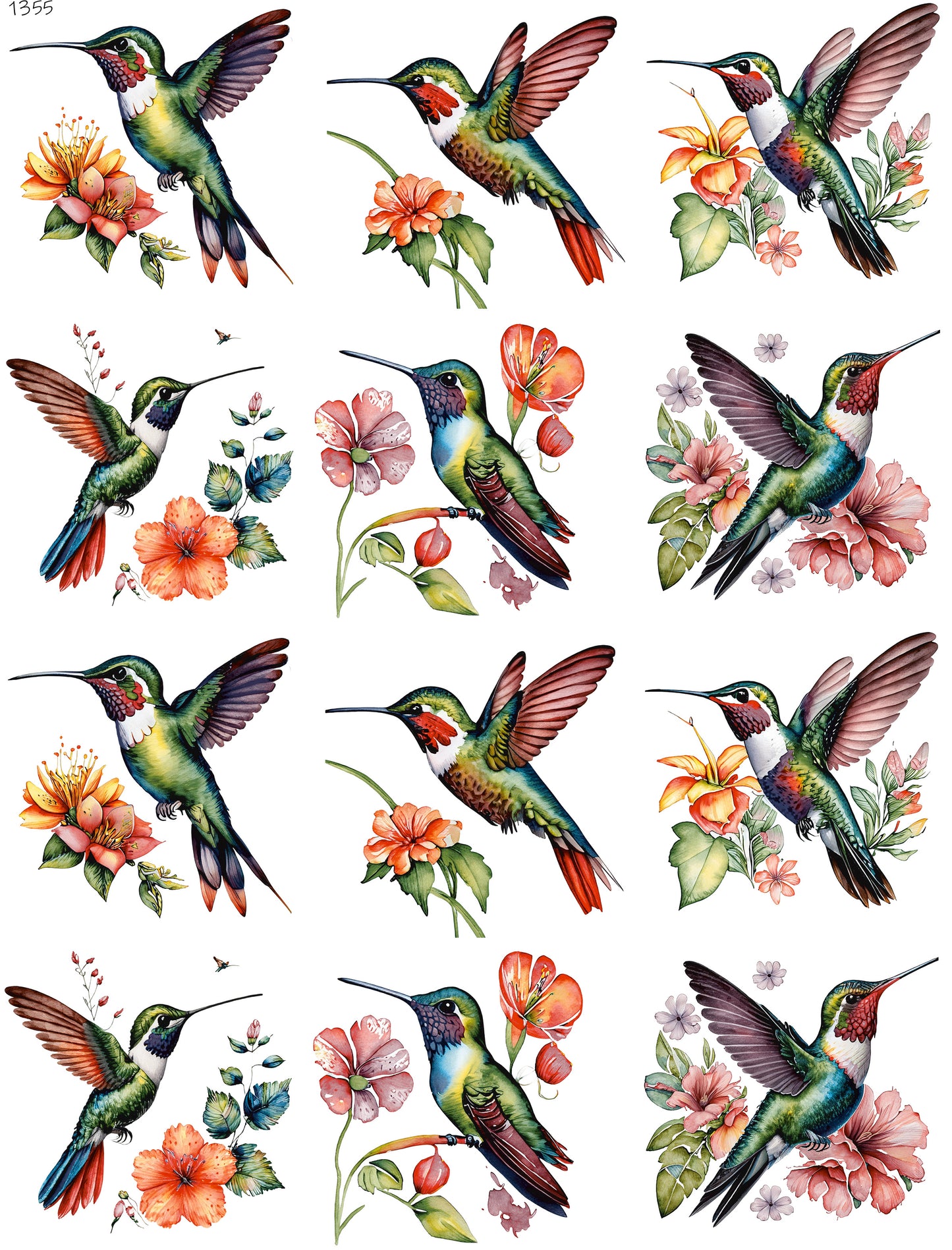 Hummingbird With Flowers