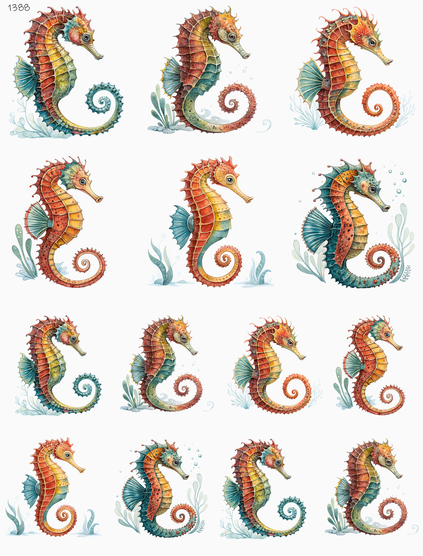 Seahorses