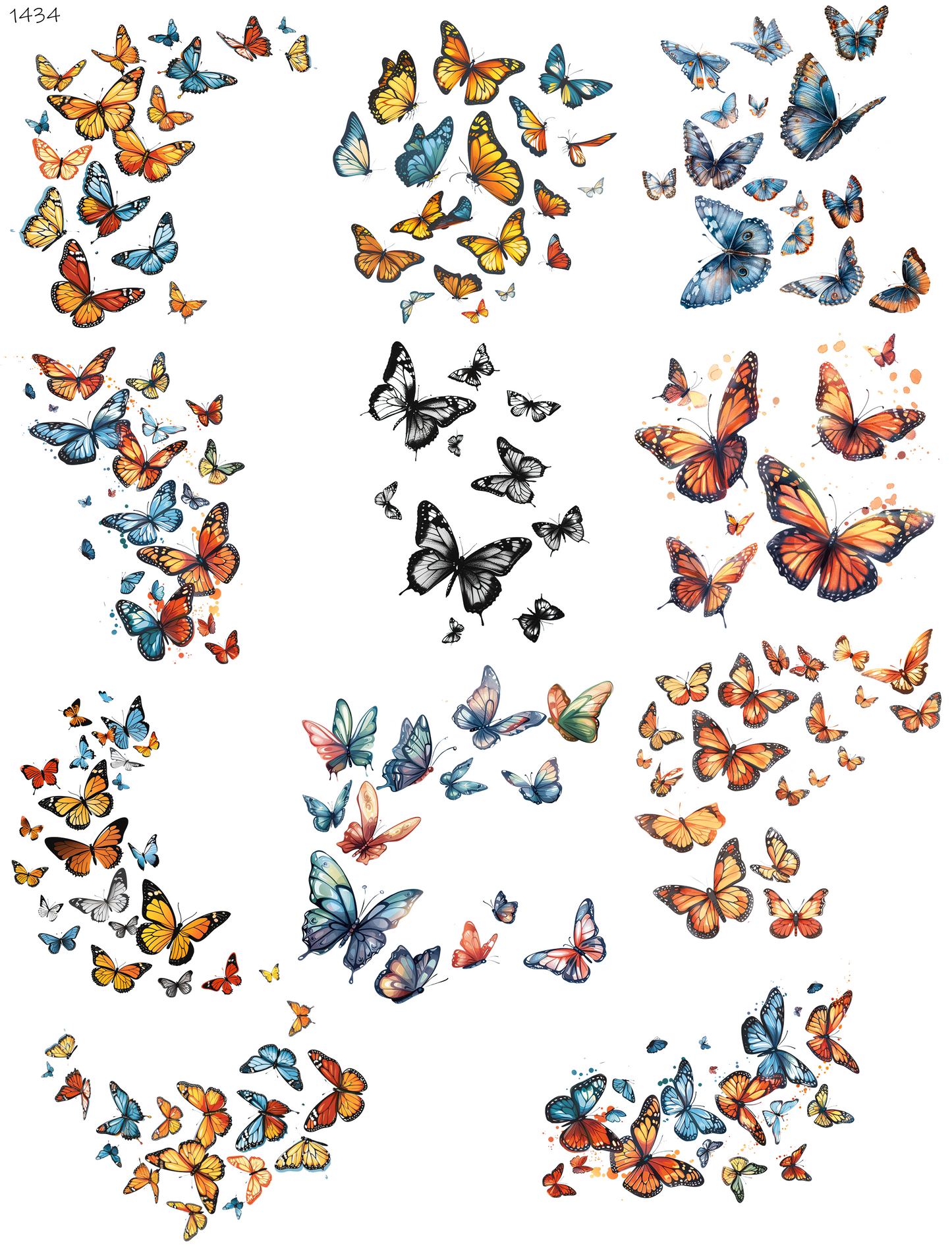 Butterfly Families
