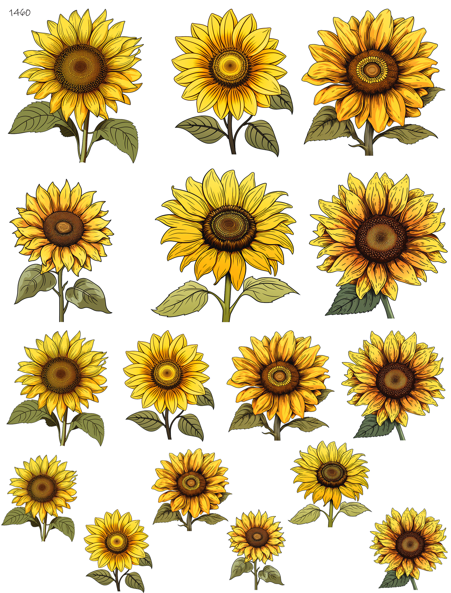 More Than Just Seeds