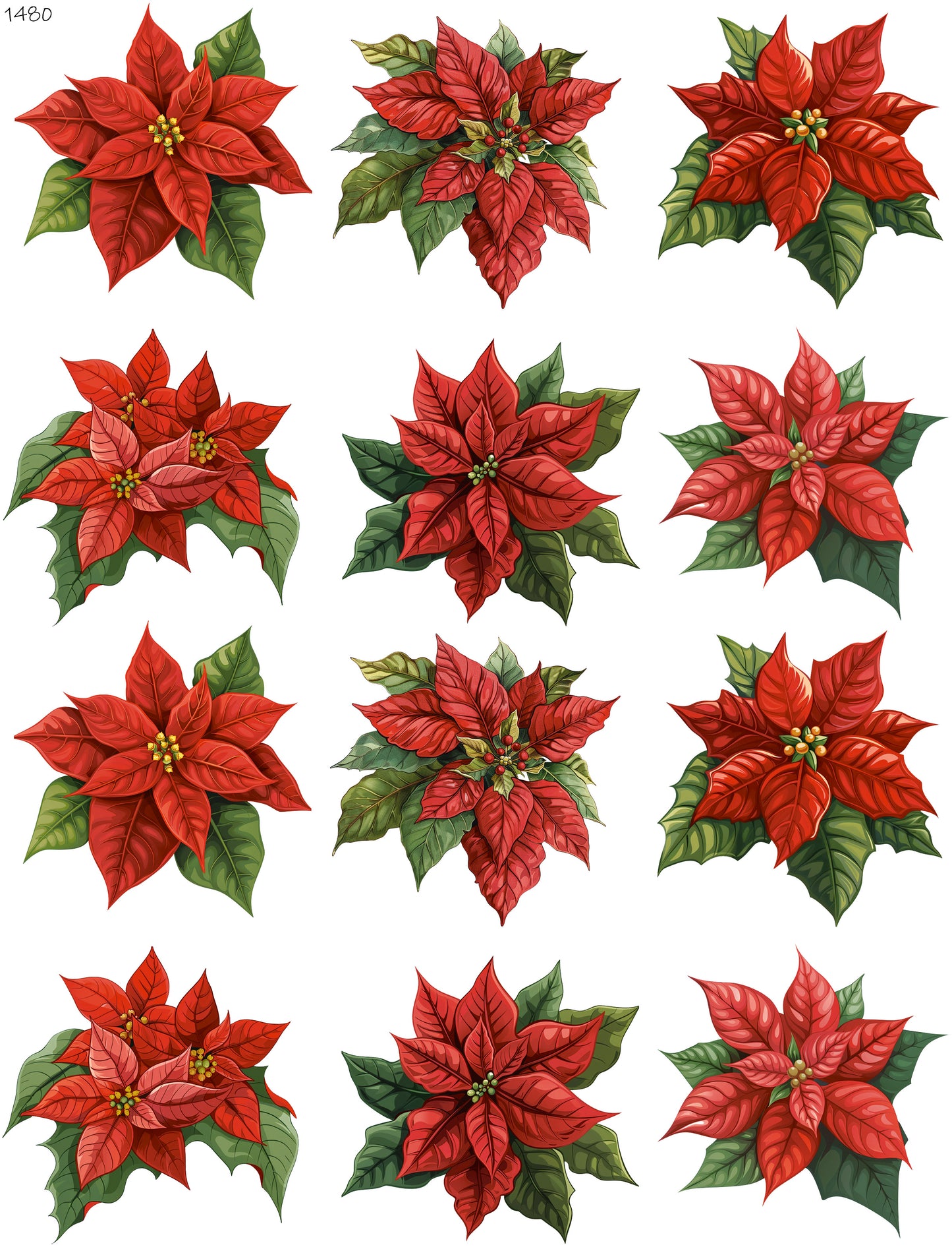 Beautiful Red Poinsettias