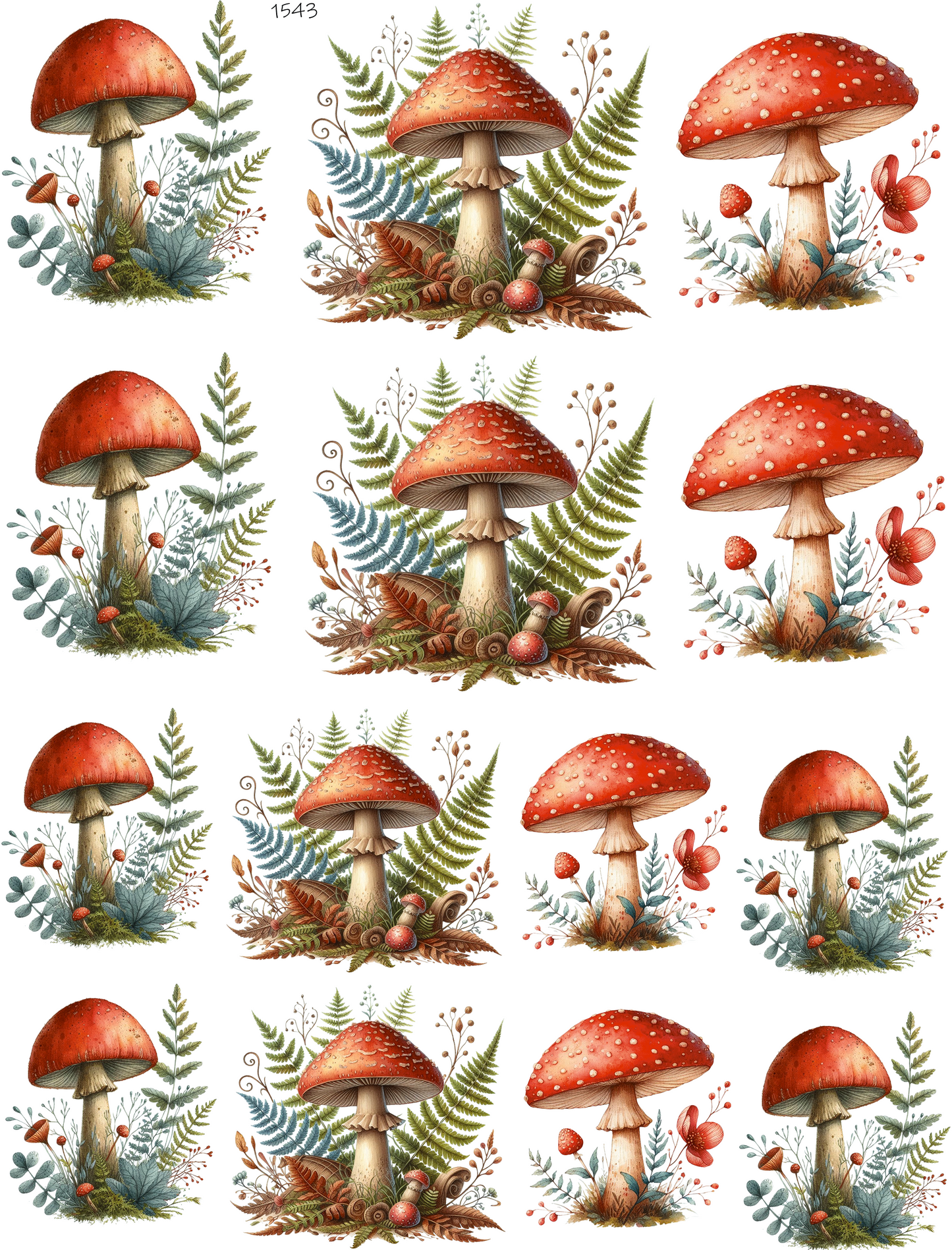 Big Fern and Mushroom