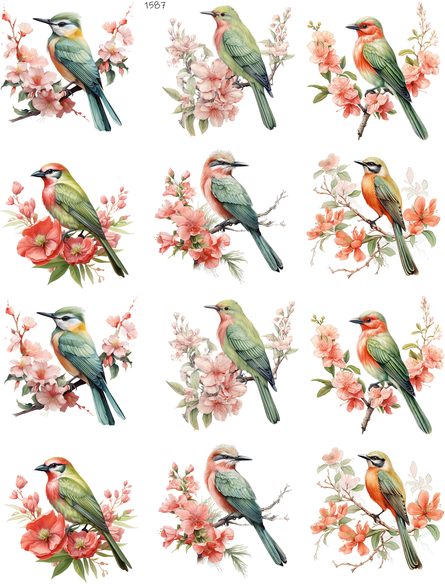 Birds And Flowers