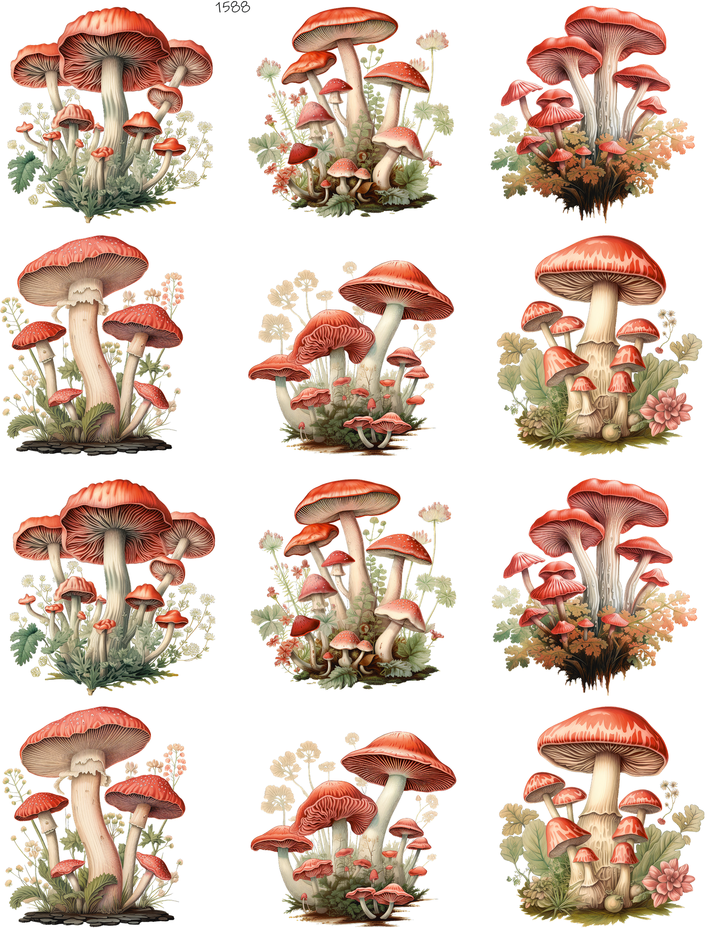 Mushrooms Make Everything Better