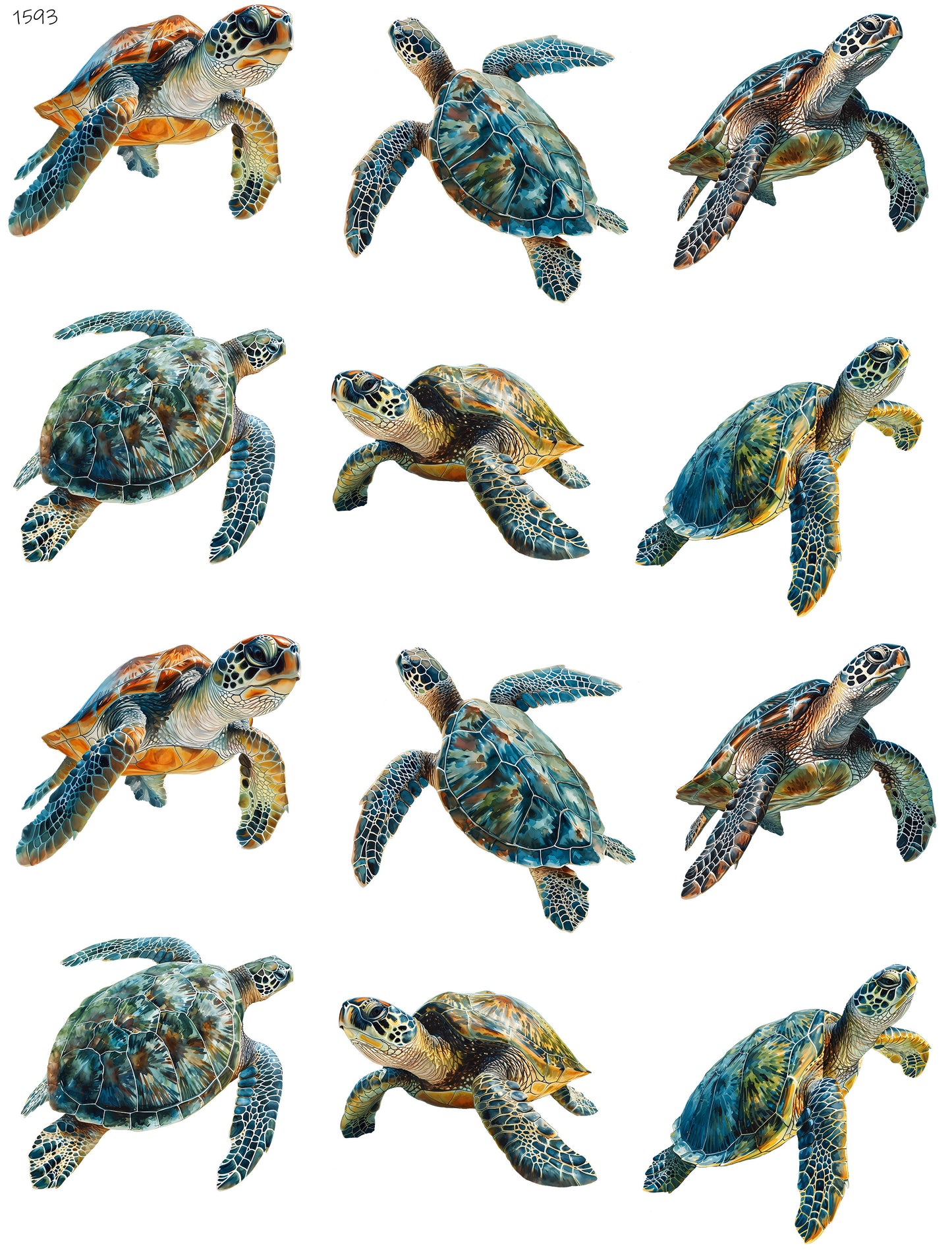 Sea Turtles Swimming