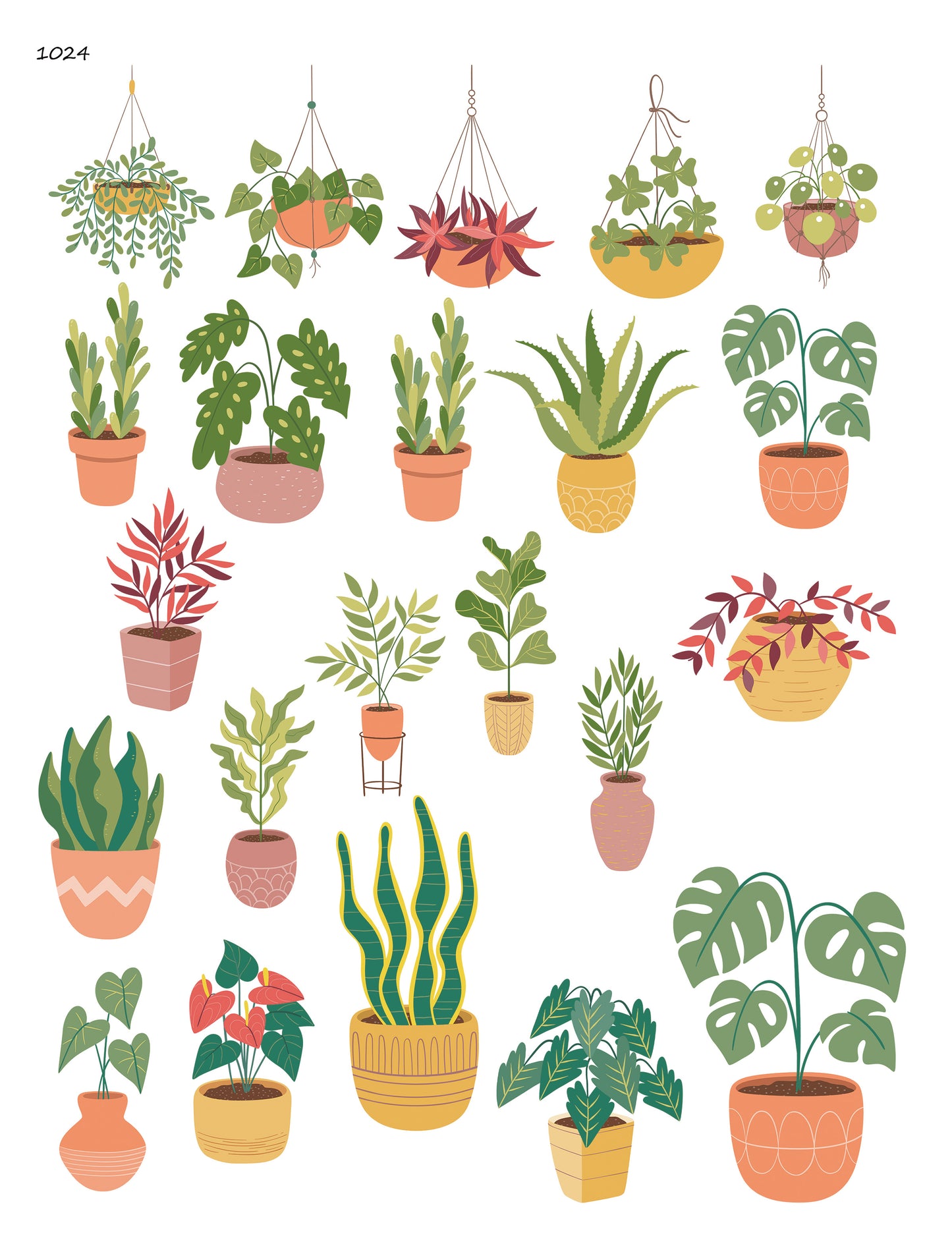 House Plants