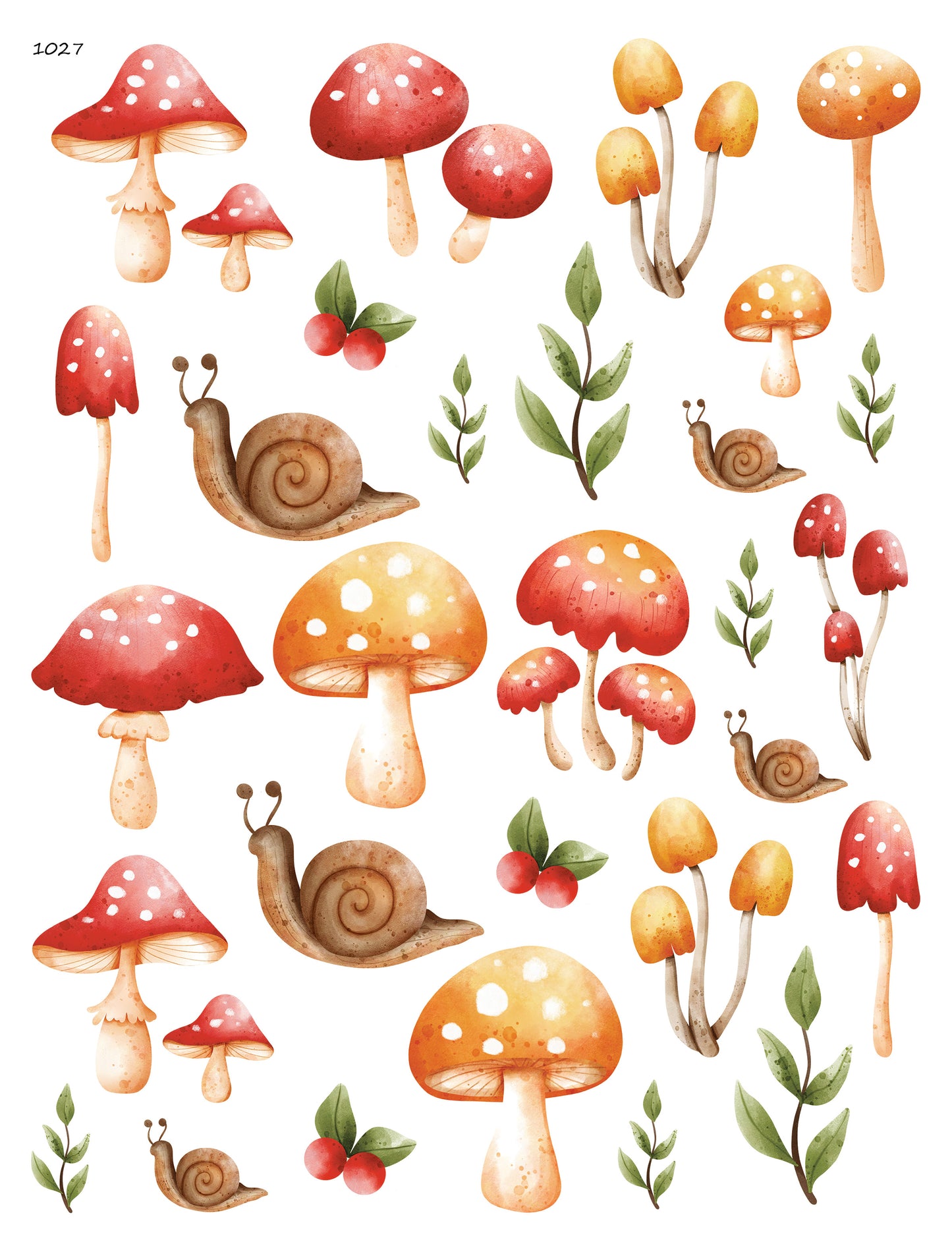 Mushrooms and Snails