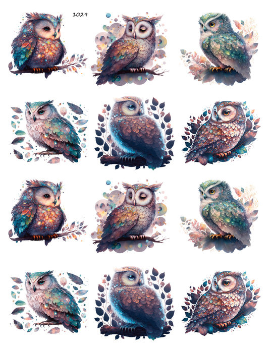 Magical Owls