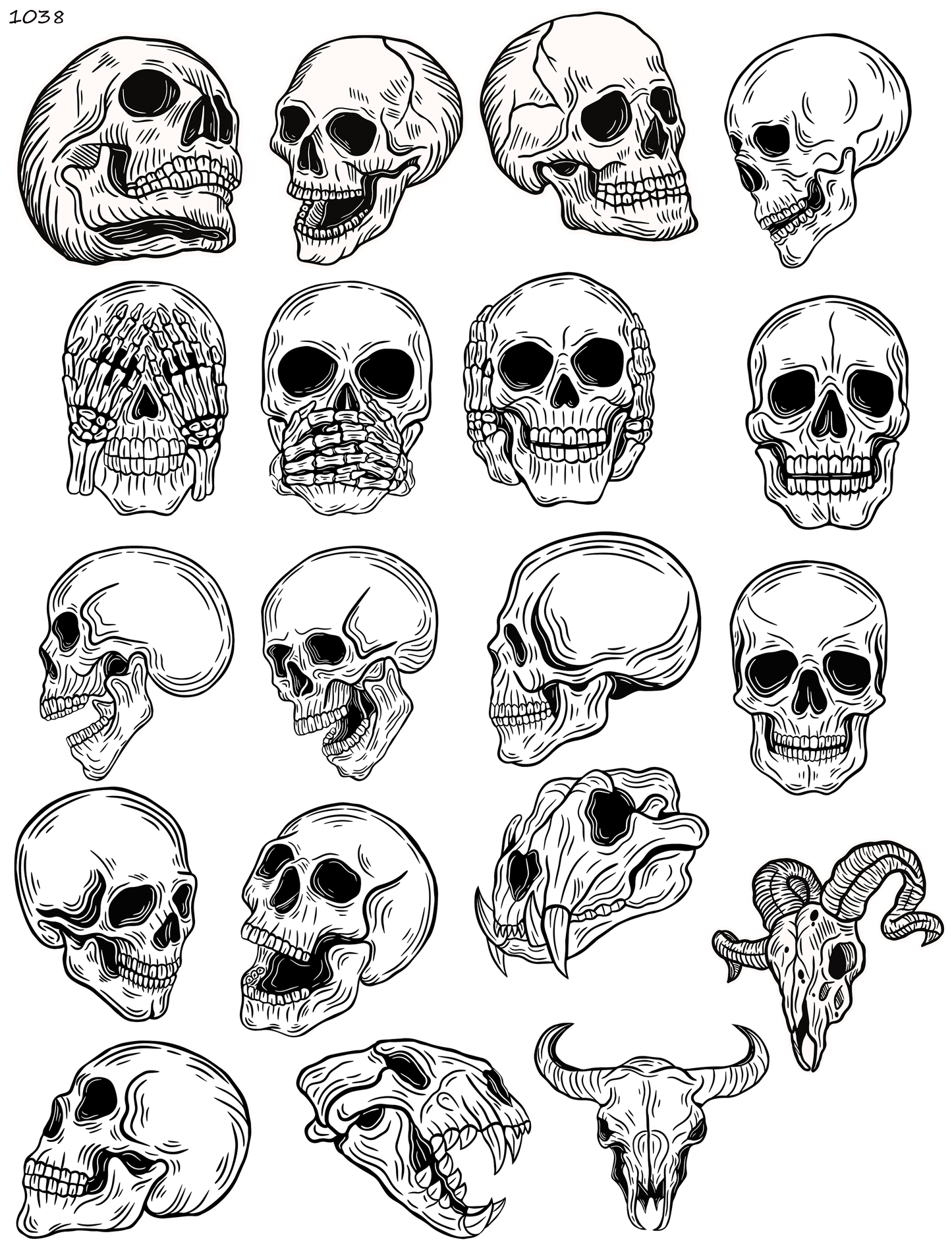 Skulls