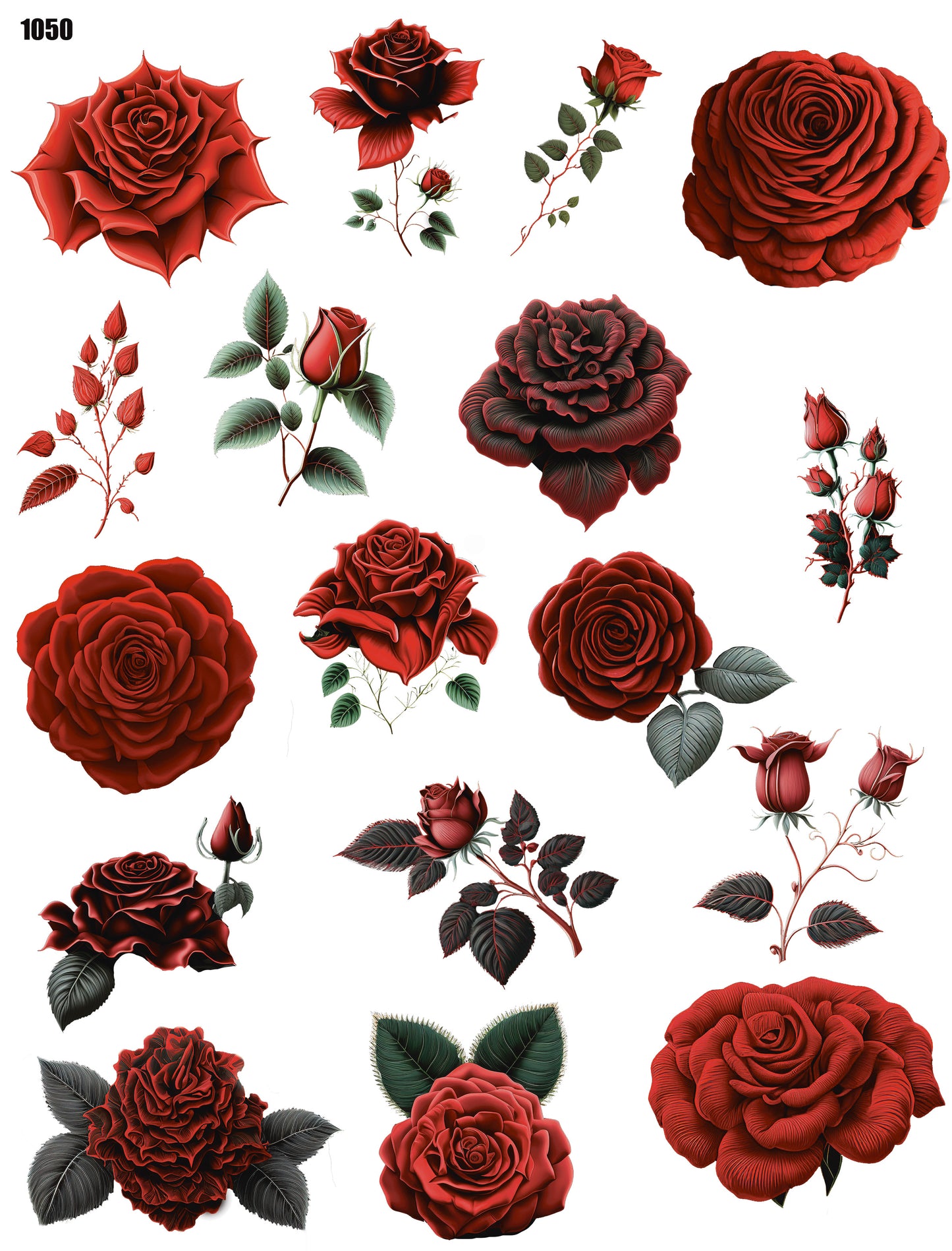 Red Roses