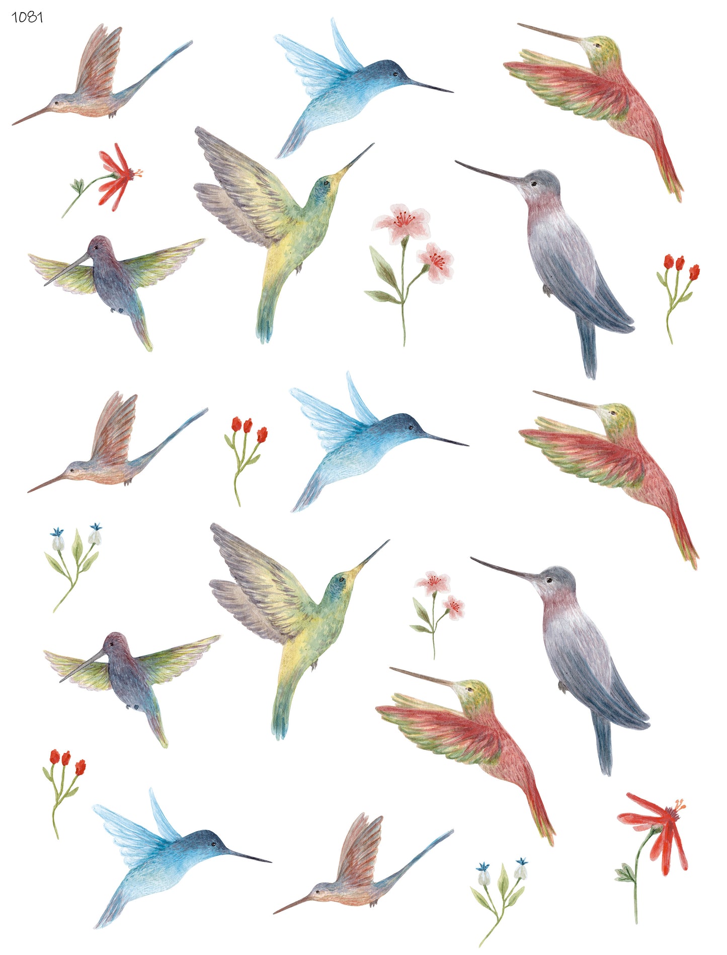 Summer Hummingbirds