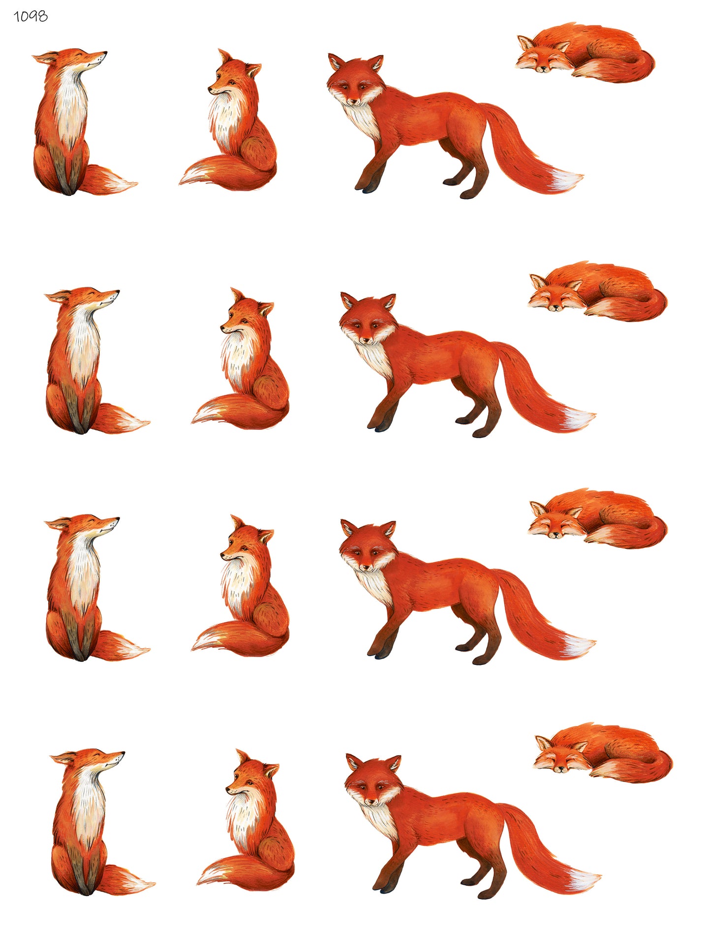 Foxy Fox