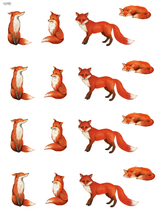 Foxy Fox
