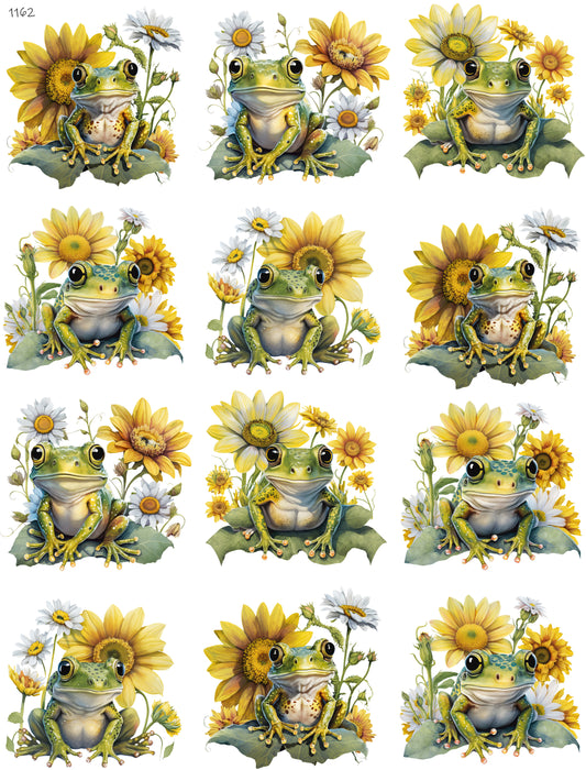 Frogs And Sunflowers