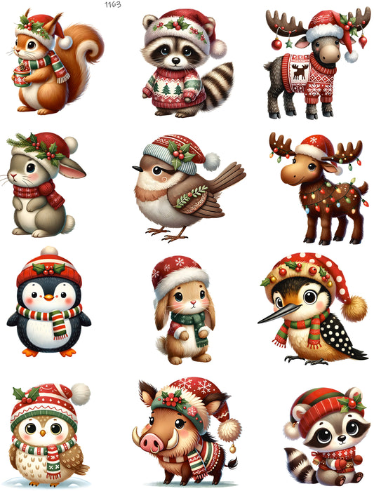 Animals with Christmas Scarf and Sweaters