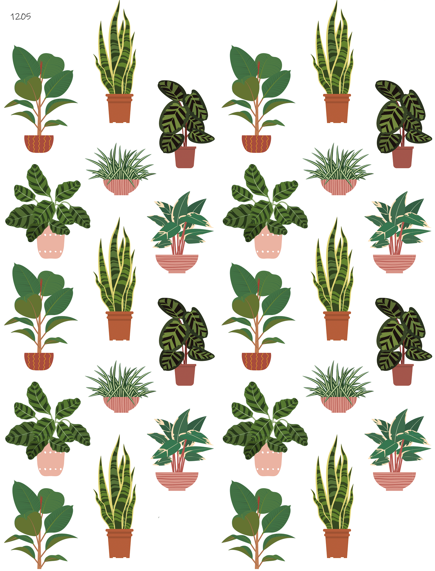 Plants for the House