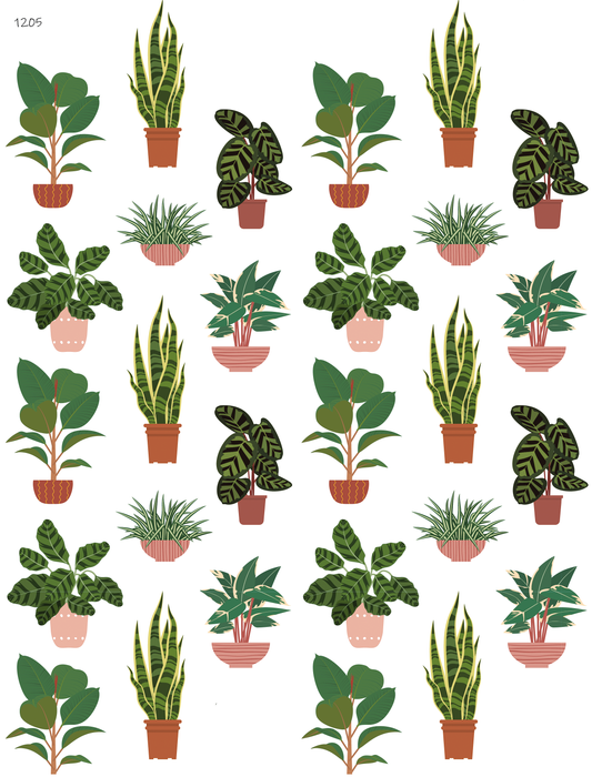 Plants for the House