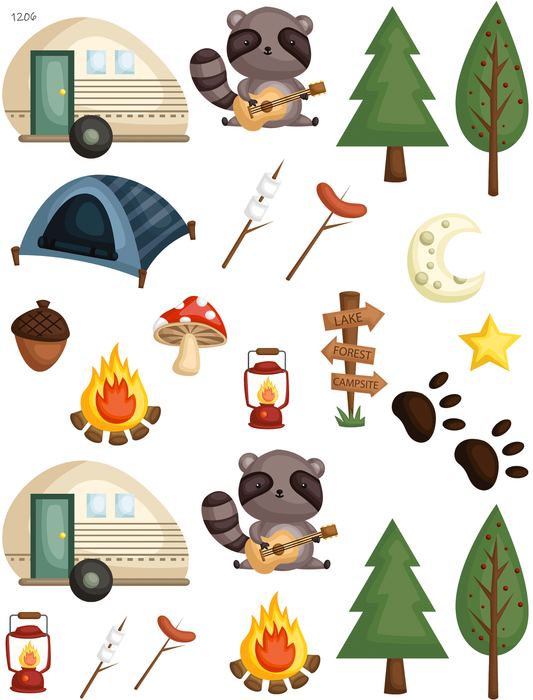 Racoon Camping