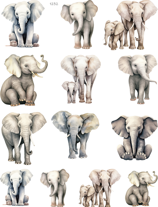 Elephants Are The Best