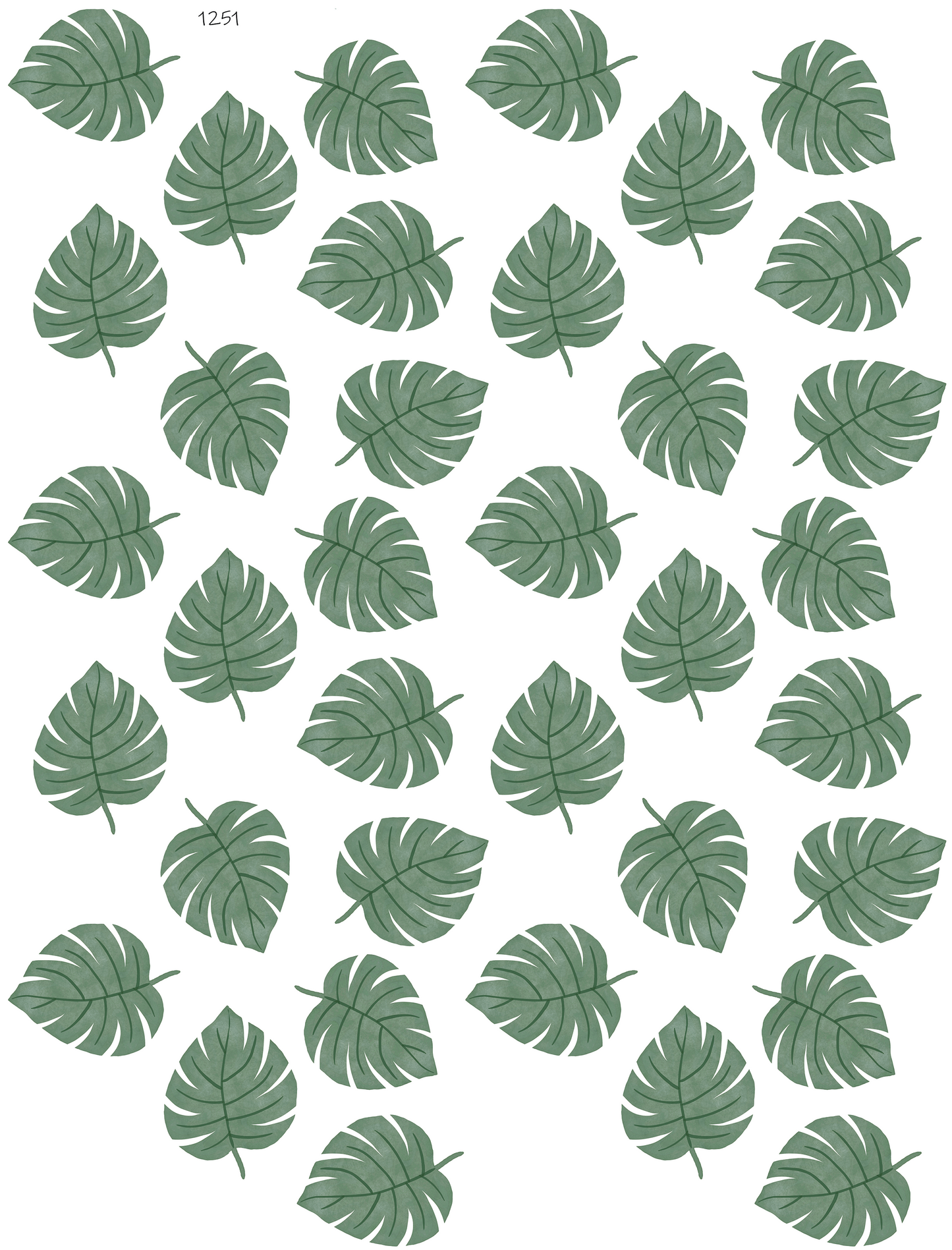 Dark Green Monstera
