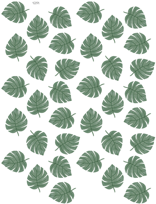 Dark Green Monstera