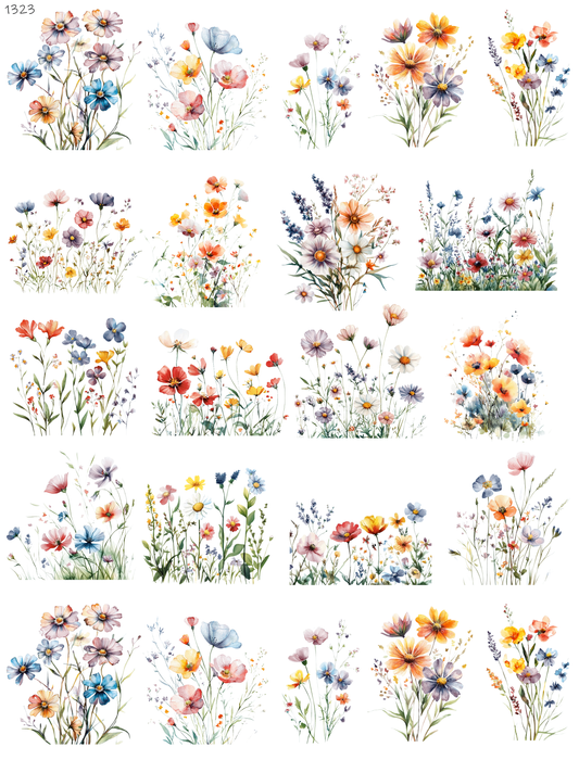 Field Full Of Flowers