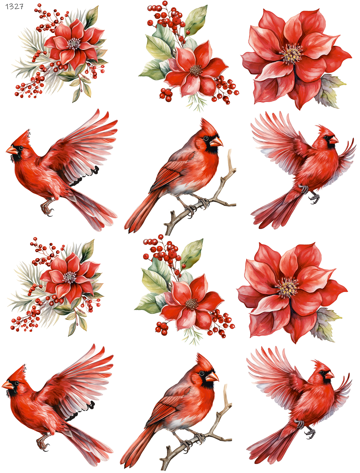 Cardinals