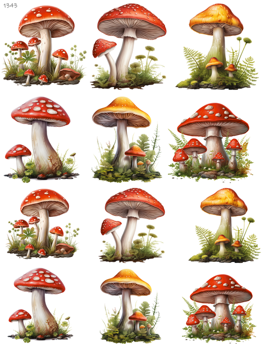 Always With The Mushrooms