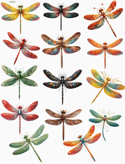 Fun Colorful Dragonflies