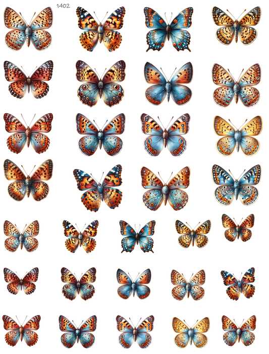 Butterflies In The Wind