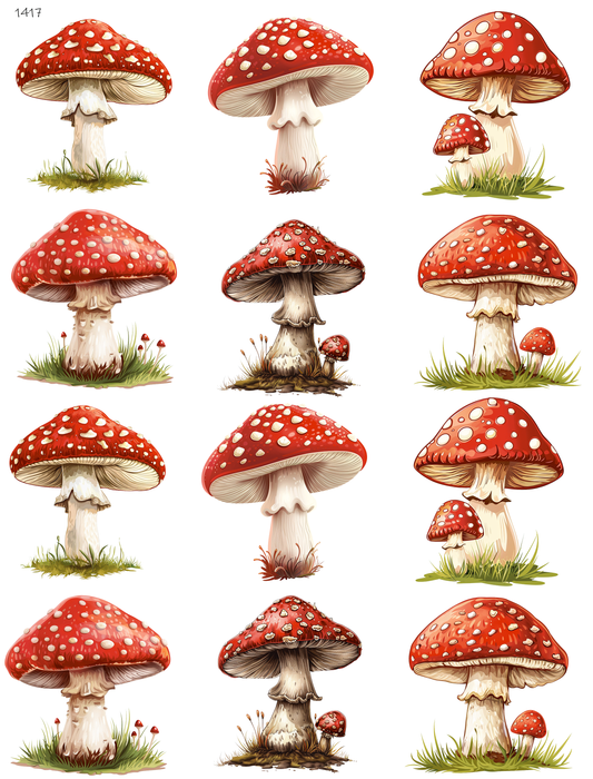 So Many Mushrooms