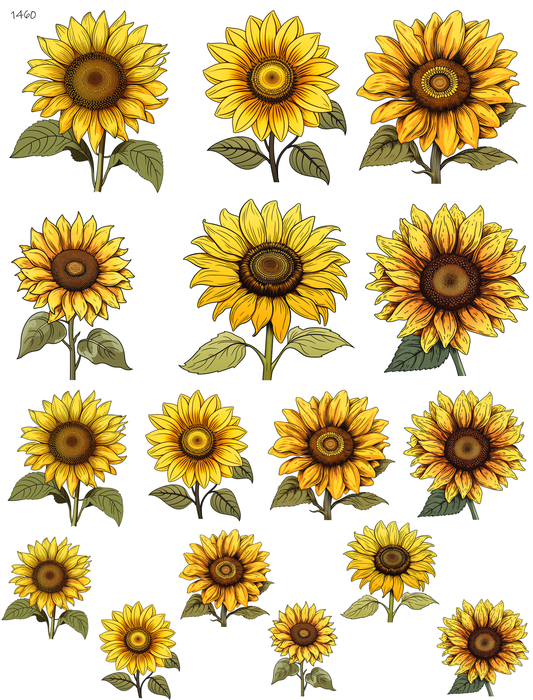 More Than Just Seeds