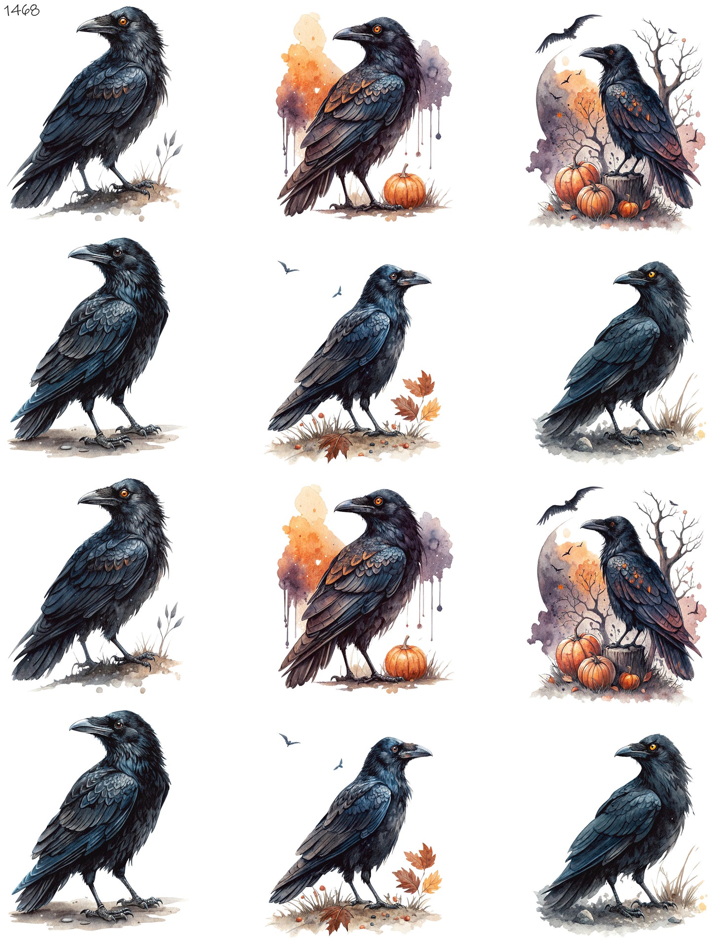 Crow With A Splash Of Color