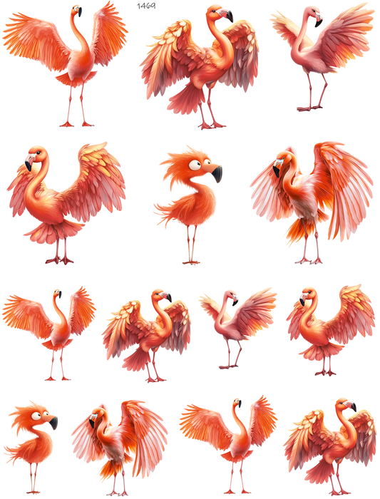 Flamingos