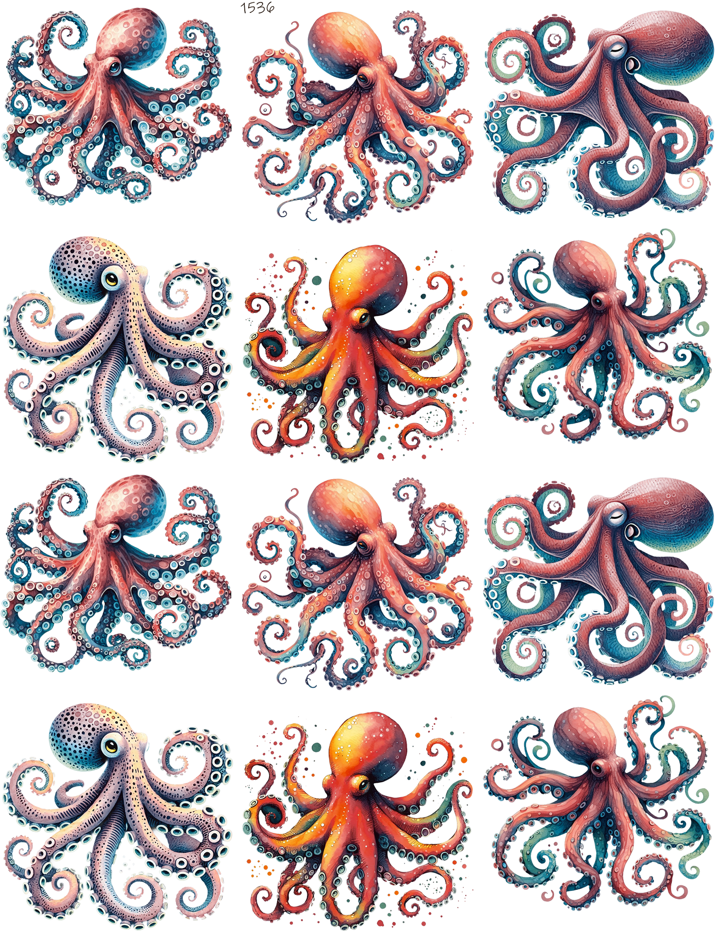 Octopus