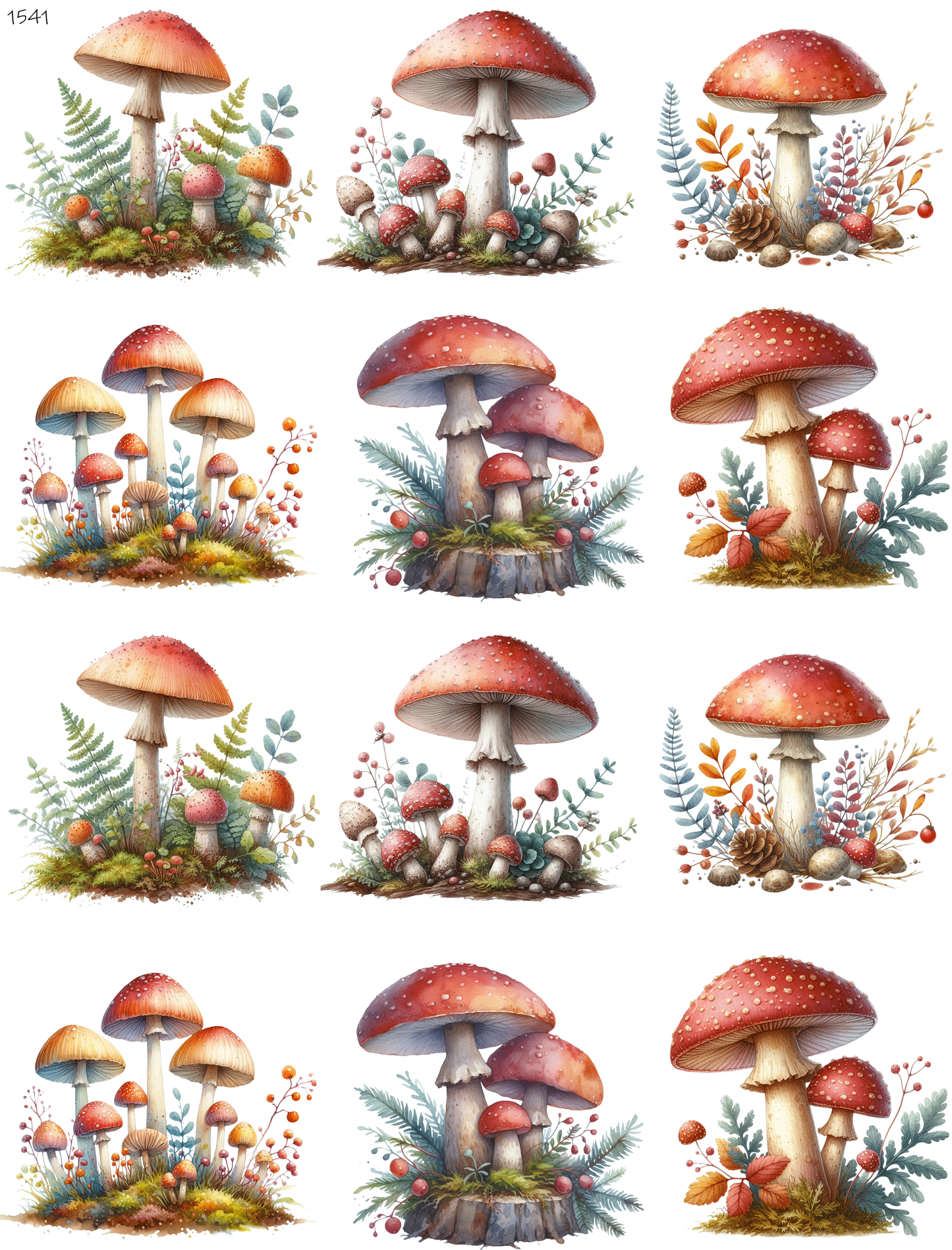 Mushrooms Deep In The Forrest