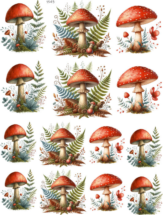 Big Fern and Mushroom