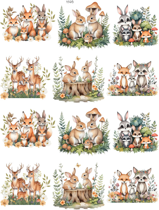 Families In The Woods