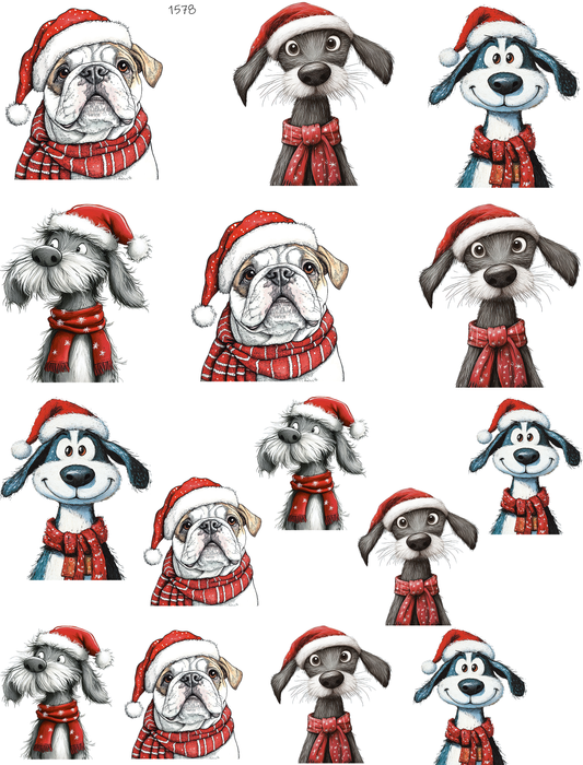 All I Want For Christmas