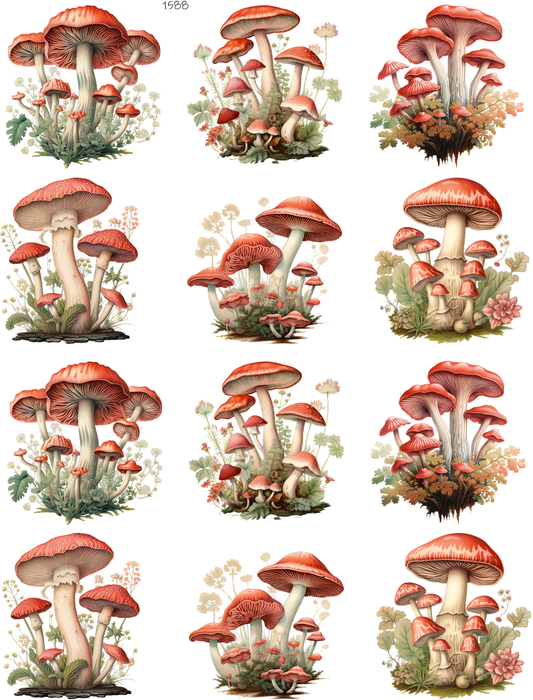 Mushrooms Make Everything Better