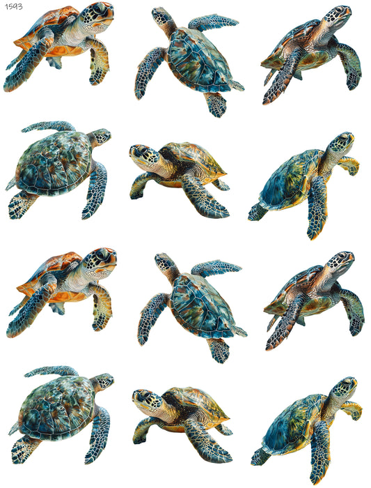 Sea Turtles Swimming