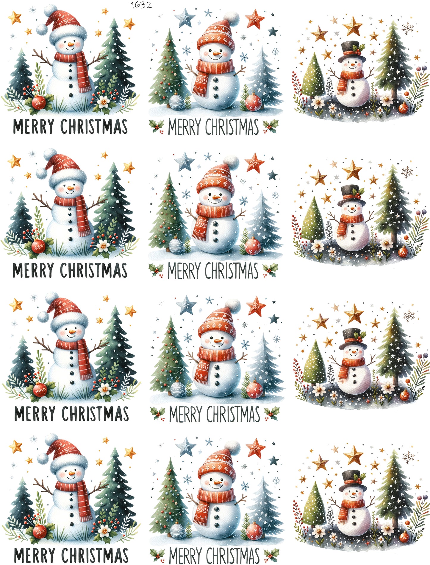 Merry Christmas From Snowman