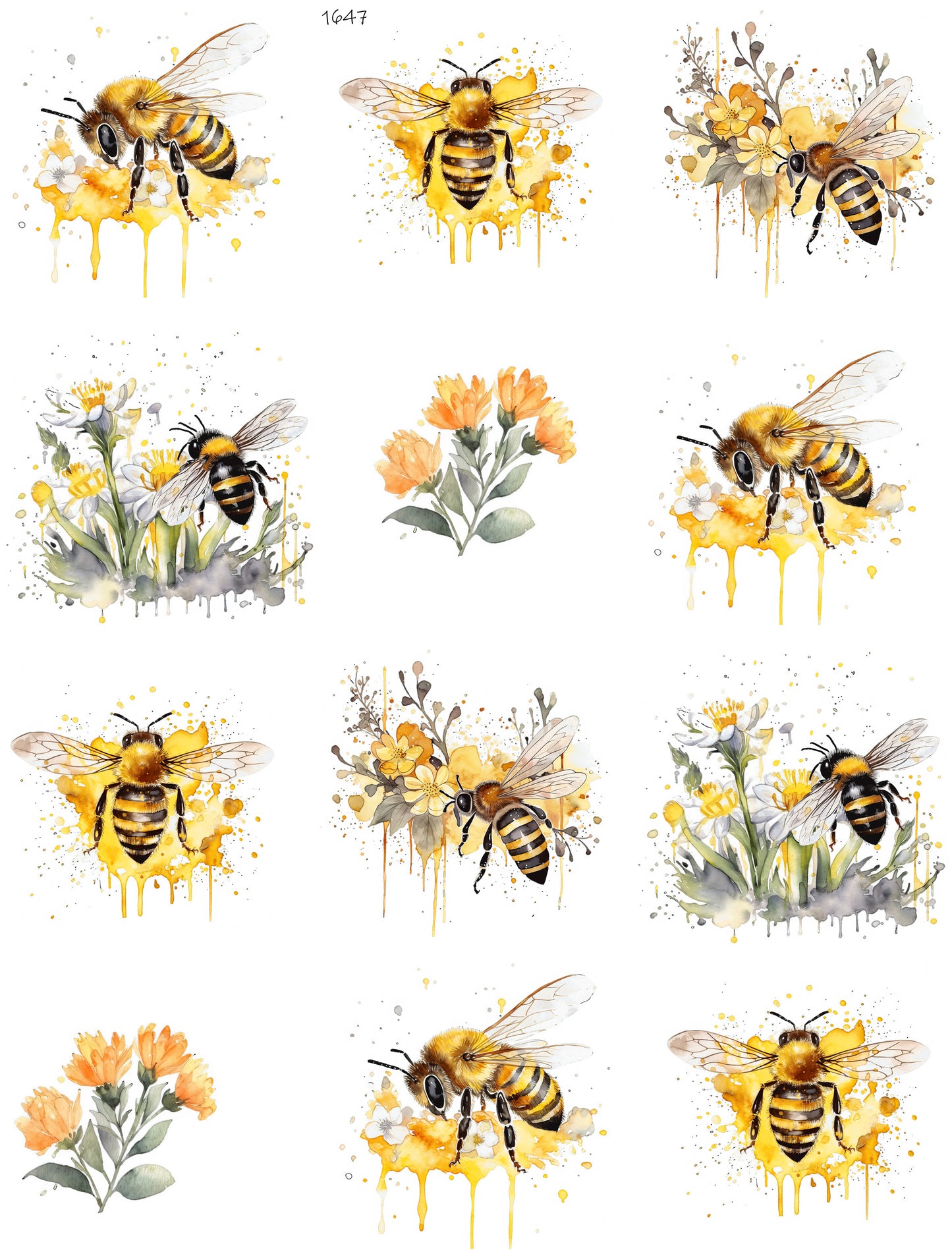 Bee And Honey Drips